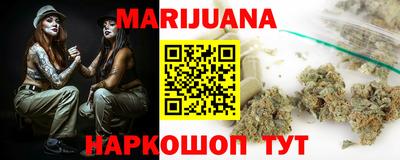 дмт Славгород