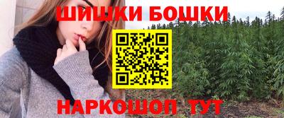 дмт Славгород