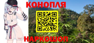 дмт Славгород