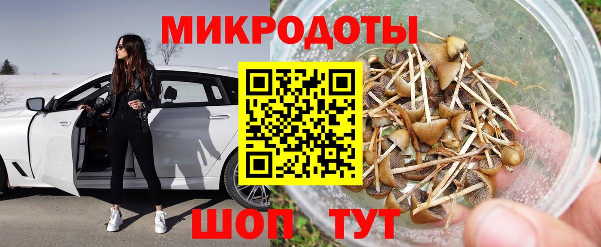 купить закладку  Галлюциногенные грибы Psilocybe  Галлюциногенные грибы ЛСД  Вход с VPN  Нальчик 