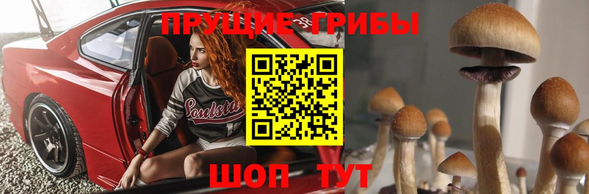 Галлюциногенные грибы Magic Shrooms Нальчик
